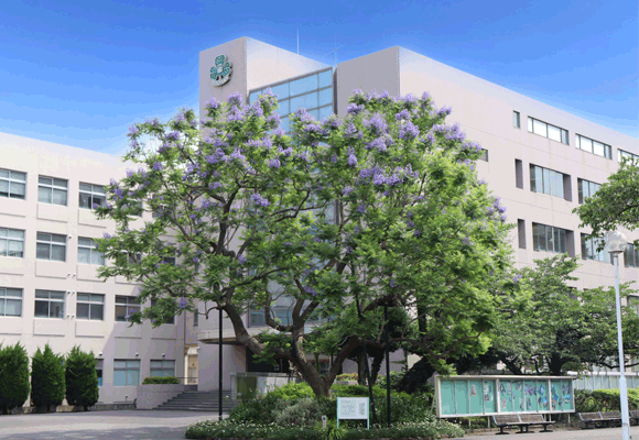 短期大学部 看護学科