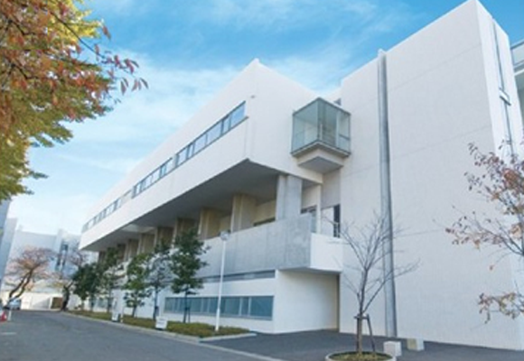 大学院歯学研究科