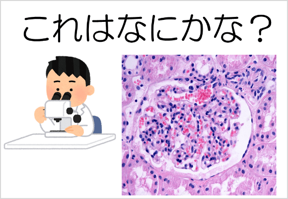 ようこそミクロの世界へ