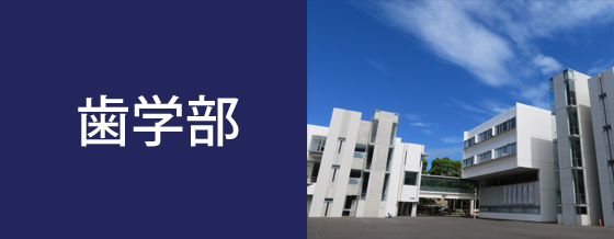 歯学部