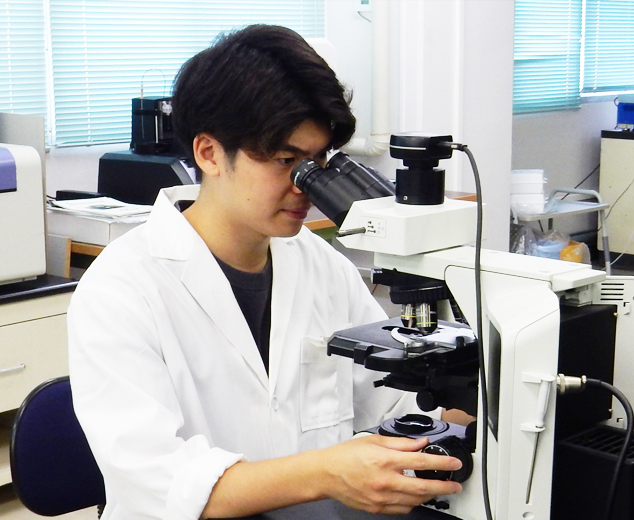 大学院歯学研究科
