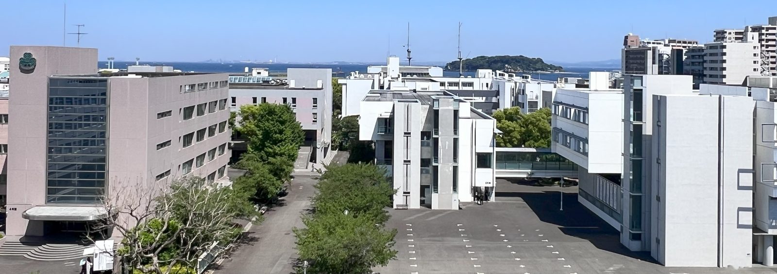 横須賀の海に面したキャンパスの全景