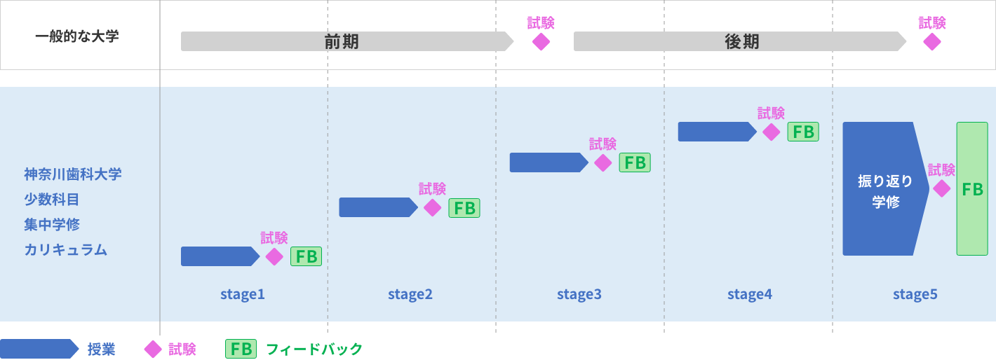 5Stage制の年間スケジュール
