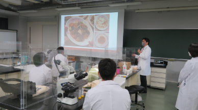 歯科医師体験実習の様子