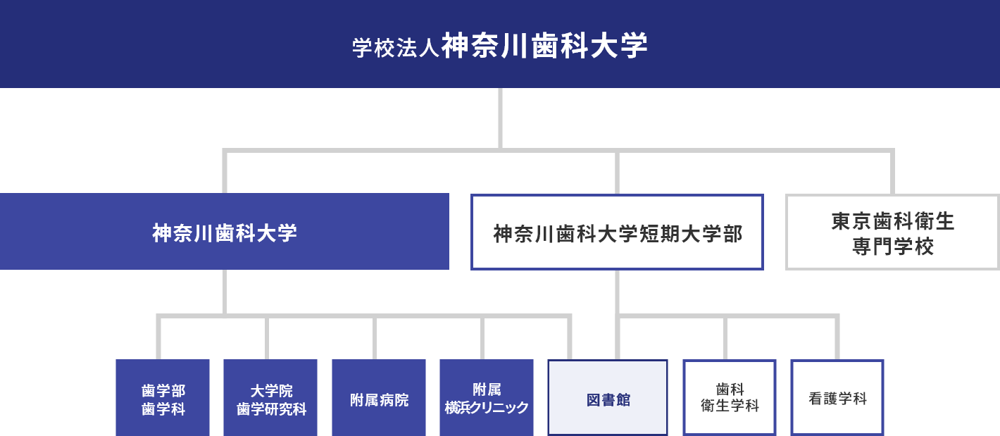 神奈川歯科大学組織図