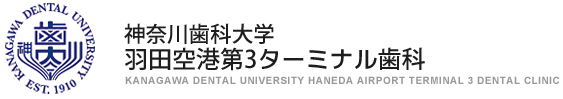 神奈川歯科大学羽田空港第3ターミナル歯科
